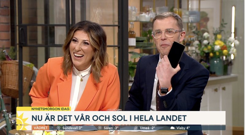 Skärmavbild: TV4